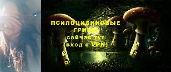 дурь Куйбышев