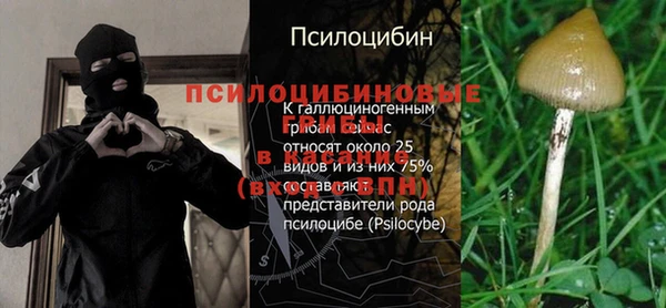трава Кукмор